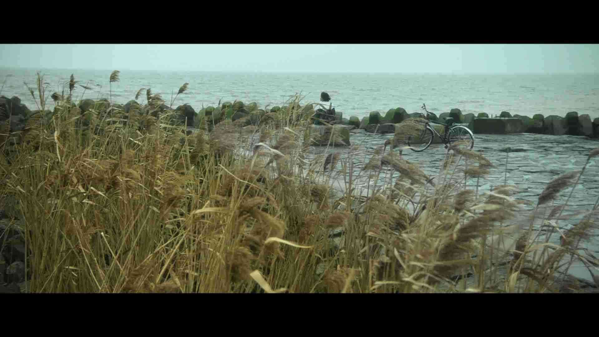 《悲伤逆流成河》“如果”版预告